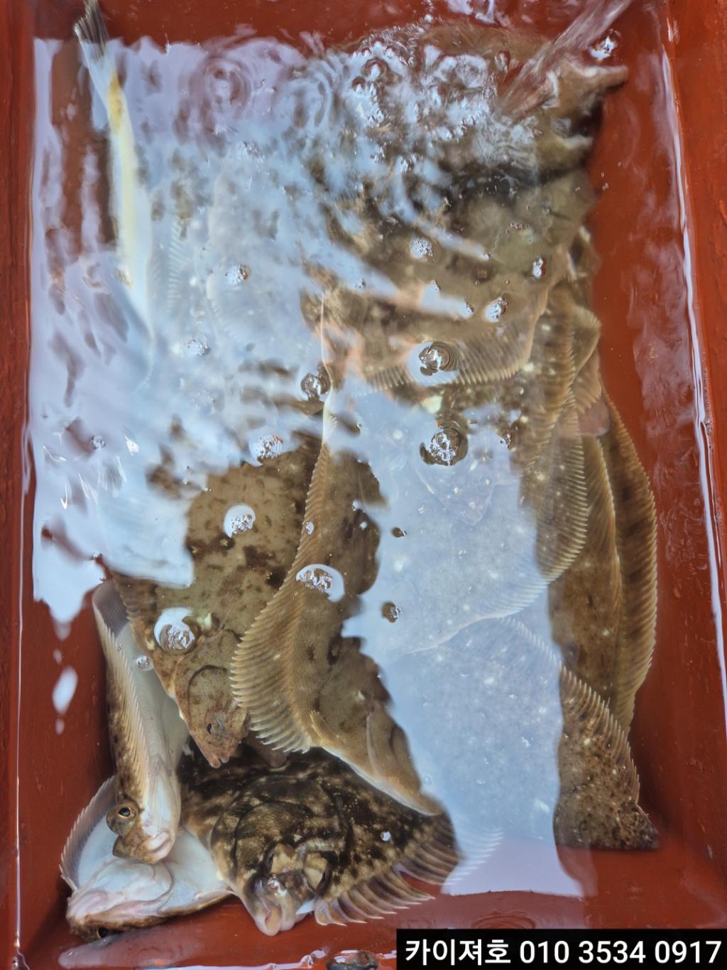 F2642757RR.jpg