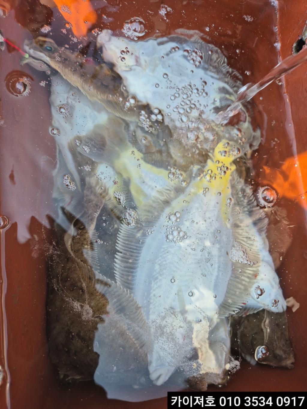 F26427607J.jpg