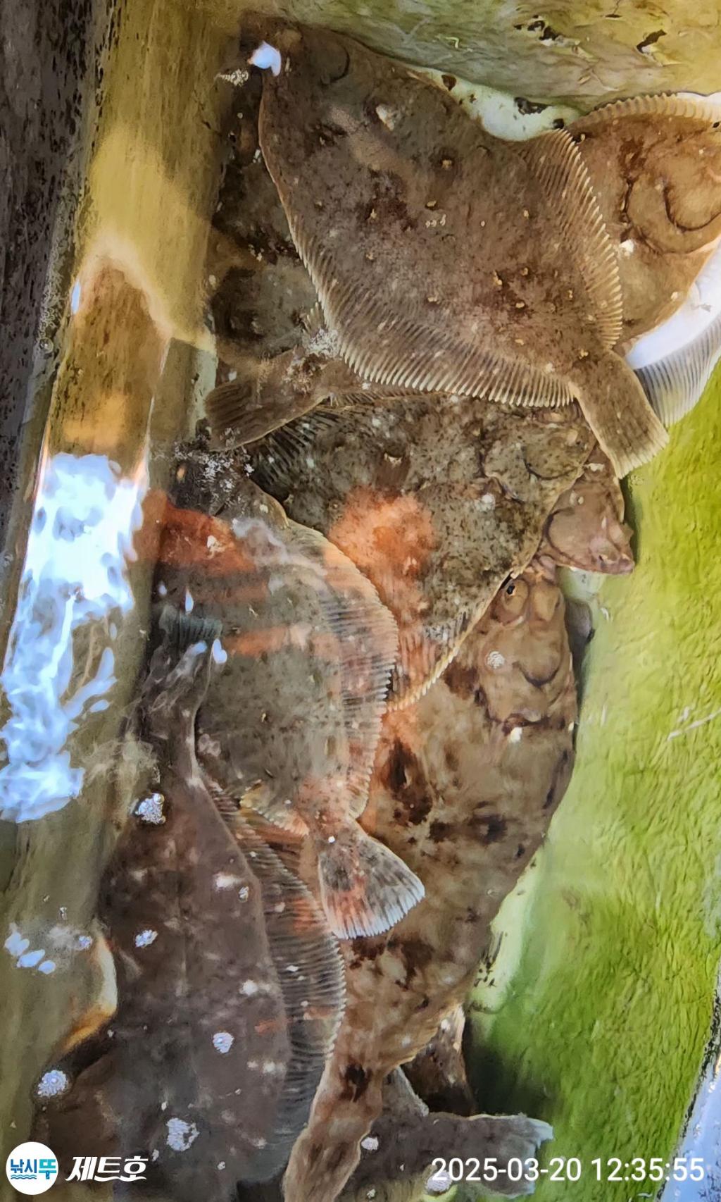 F2642875P6.jpg
