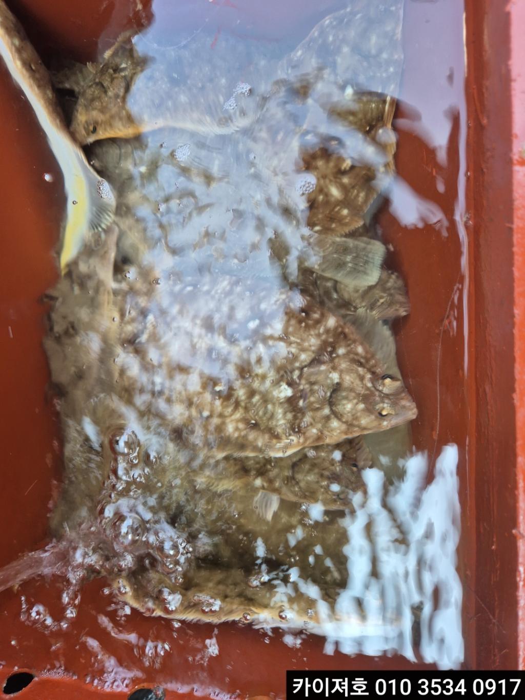 F2643259UG.jpg