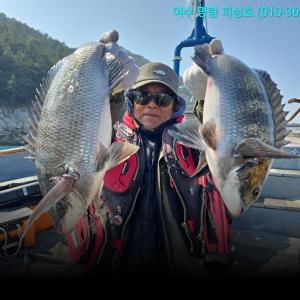 조황, 대물감성돔 시즌답게 터지고 바늘빠지고 아쉬움이 