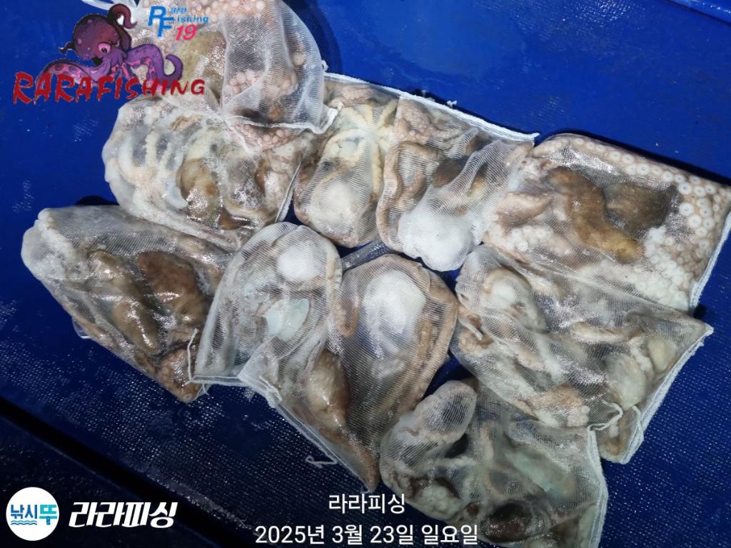 F2644320FS.jpg