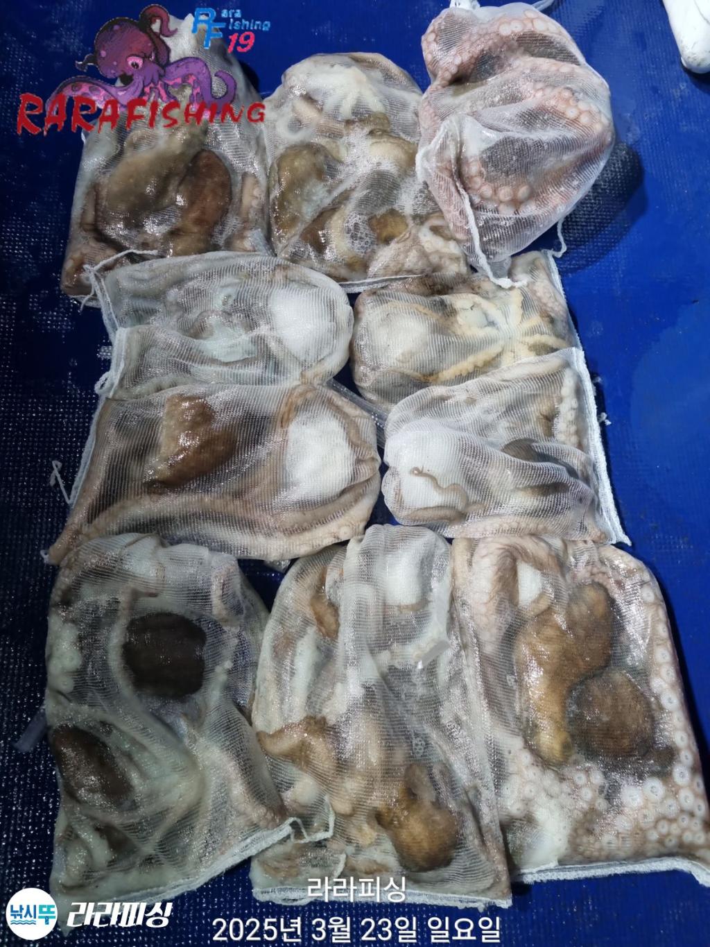 F2644356QO.jpg