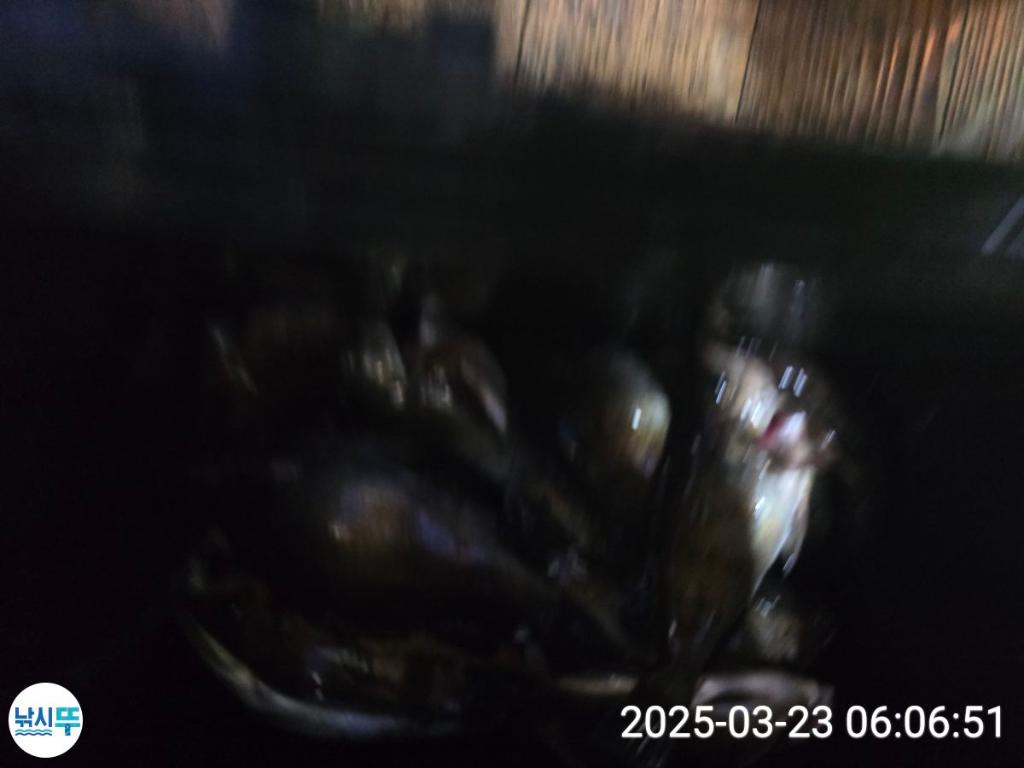 F26444552D.jpg