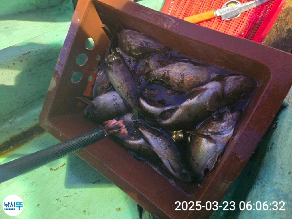 F2644458QT.jpg