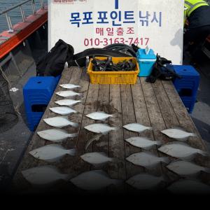 조황, [목포도다리낚시] 23일 씨알 좋은 도다리 조황 입니다