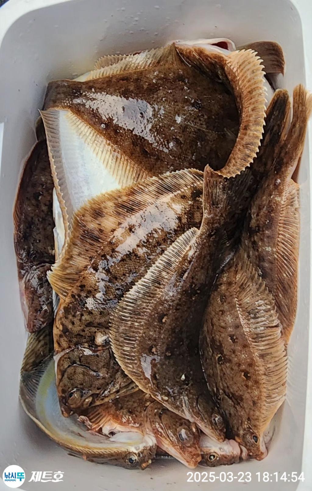 F2645176MH.jpg