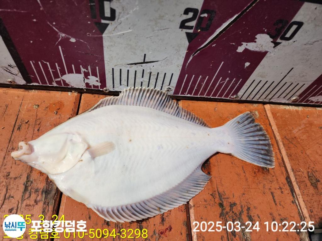 F2645649OS.jpg