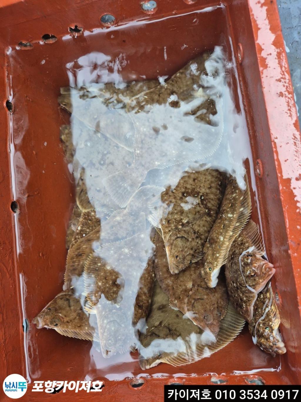 F2645719AD.jpg