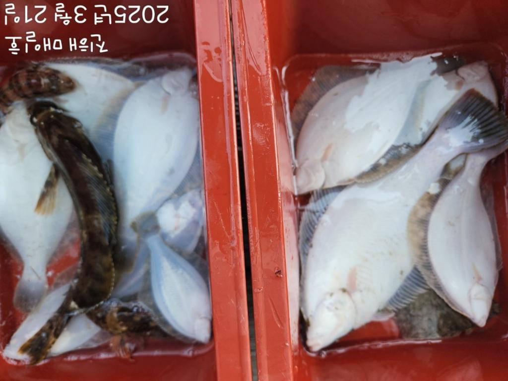 F2644183Y3.jpg