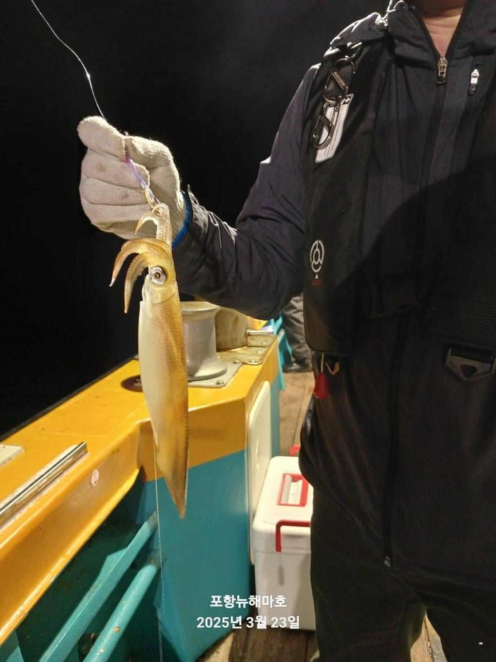 F2646536D5.jpg
