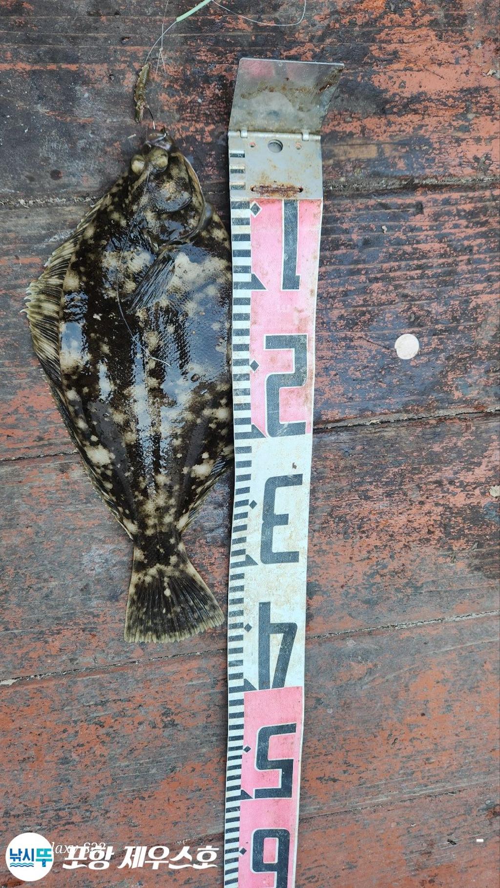 F2646571ZG.jpg