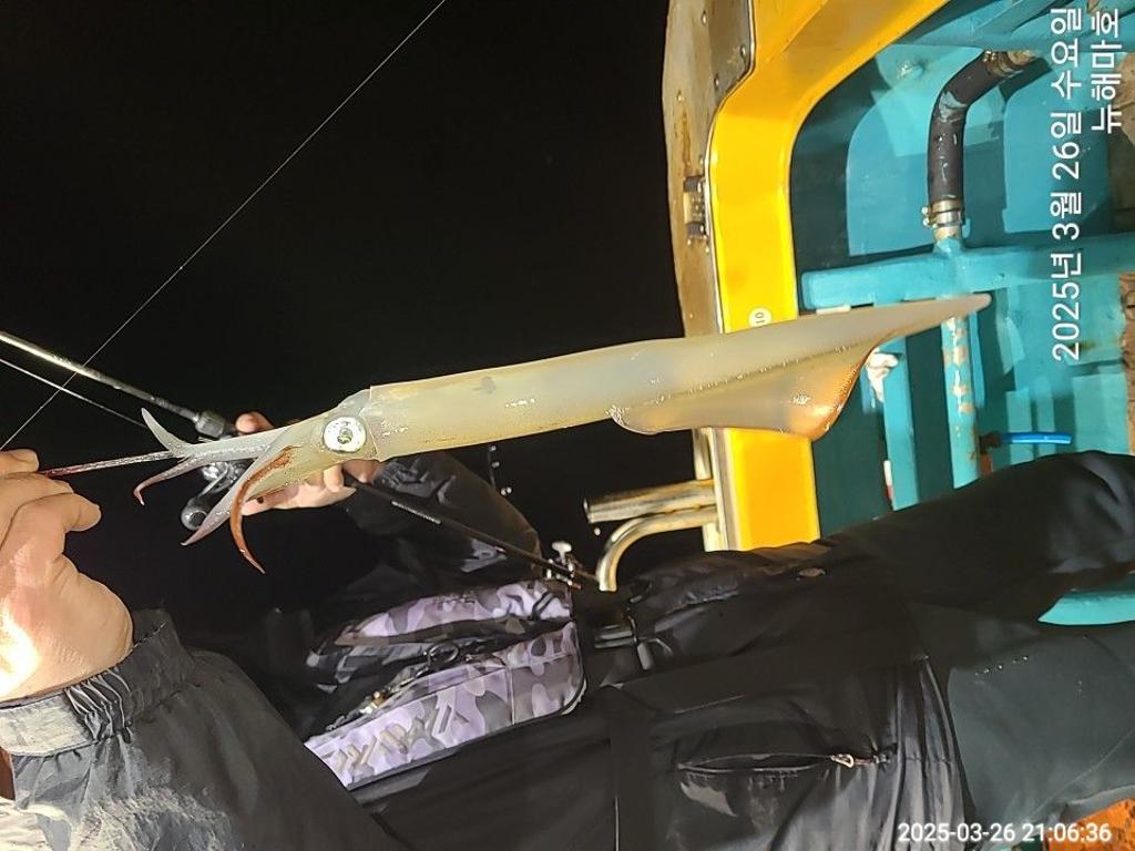 F2647251UA.jpg