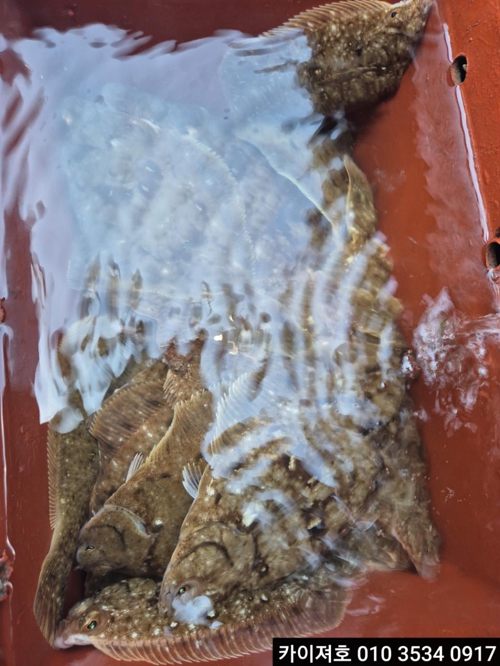 F2648192AI.jpg