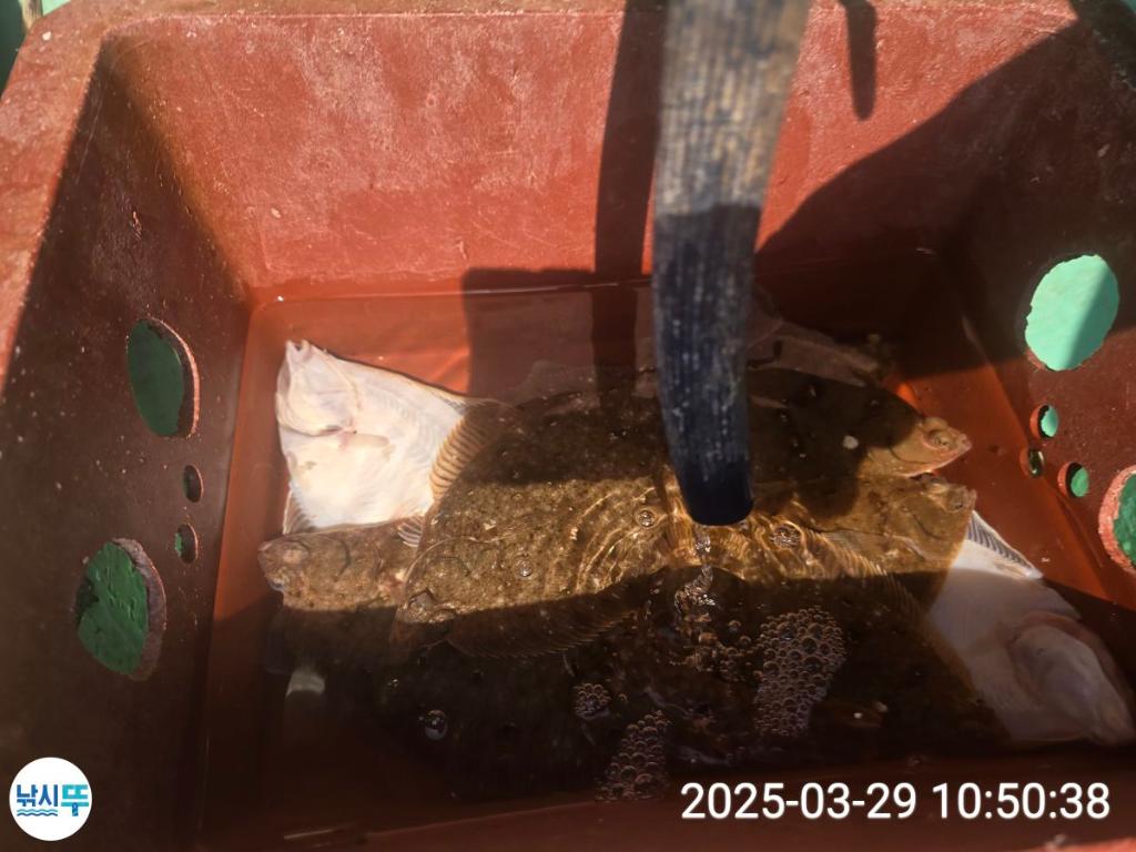 F2648270H9.jpg