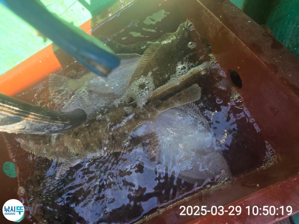 F26482750U.jpg