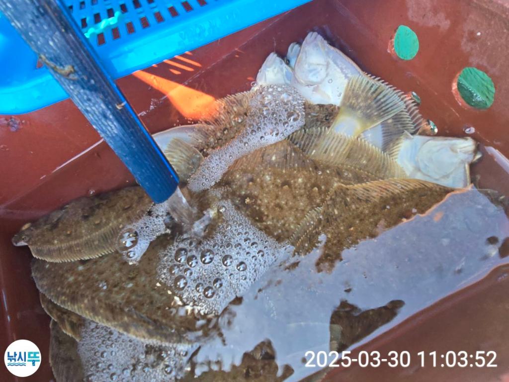 F264913141.jpg