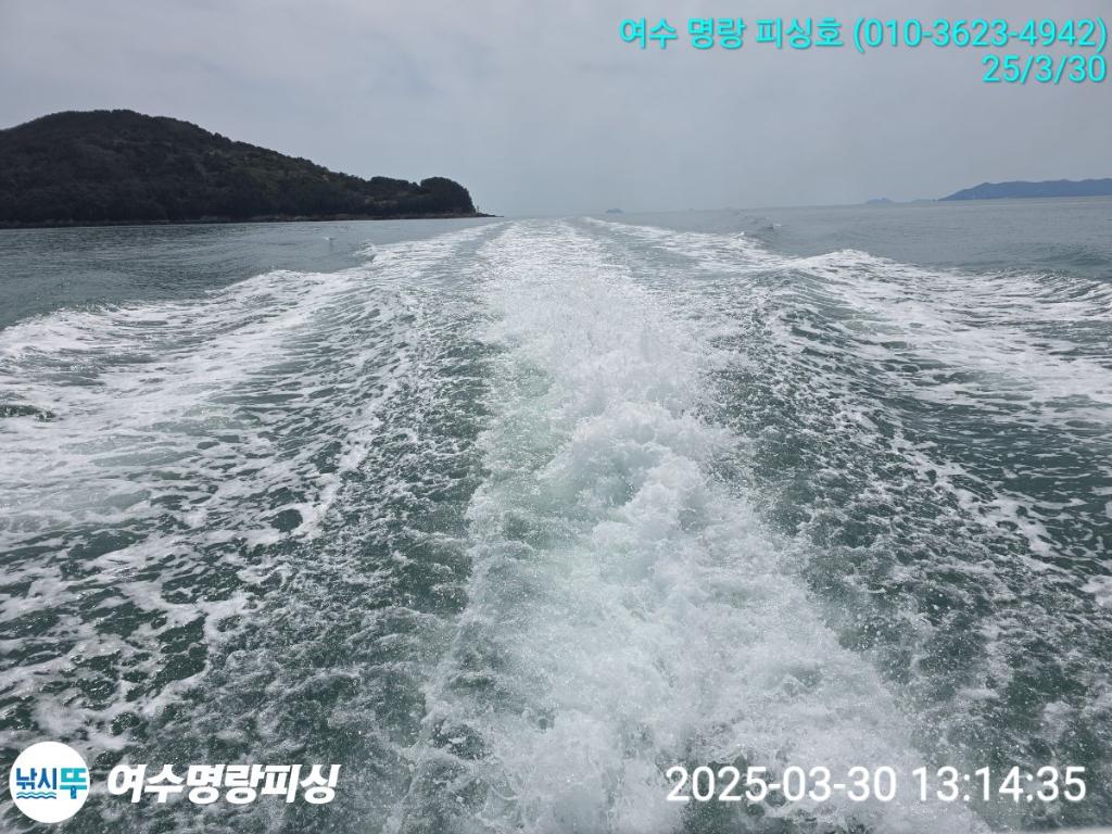 F264923732.jpg