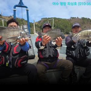 조황, 54cm 영등철 대물돔 시즌답게 터지고 바늘빠지고 아쉬움이 