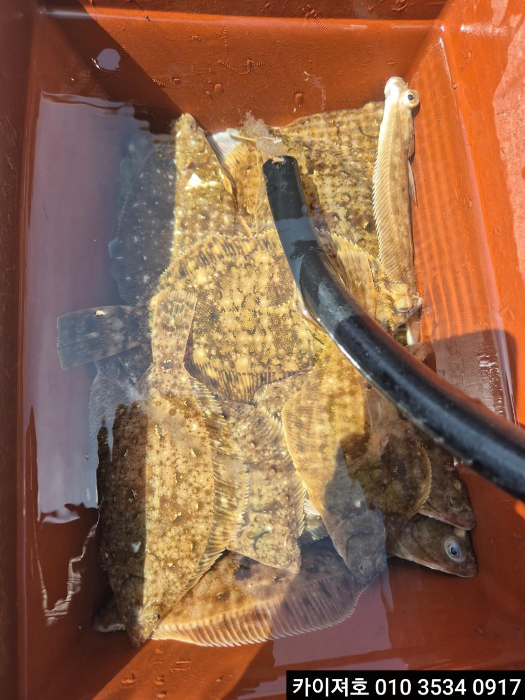 F264961090.jpg