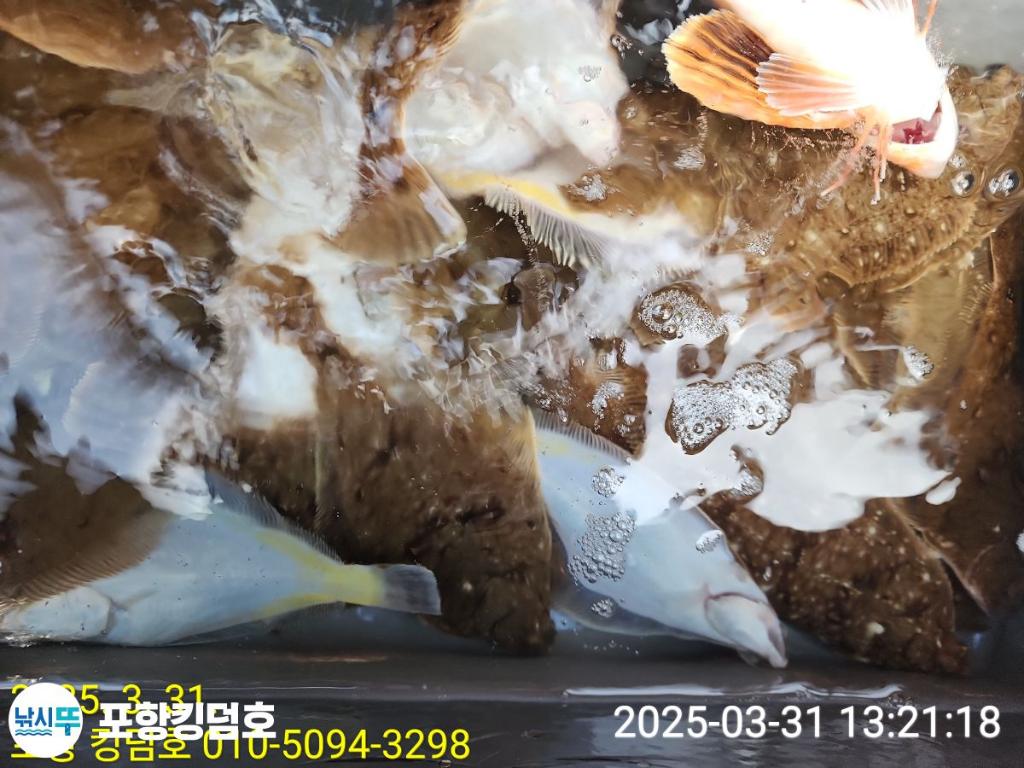 F26497113Z.jpg