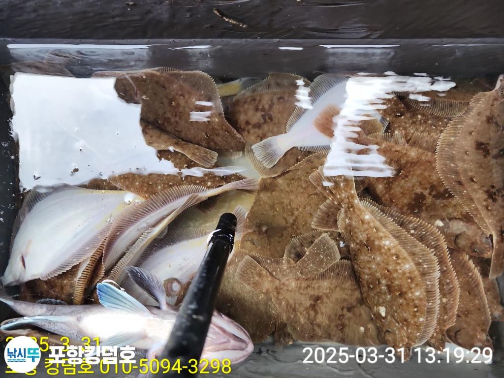 F2649716H8.jpg