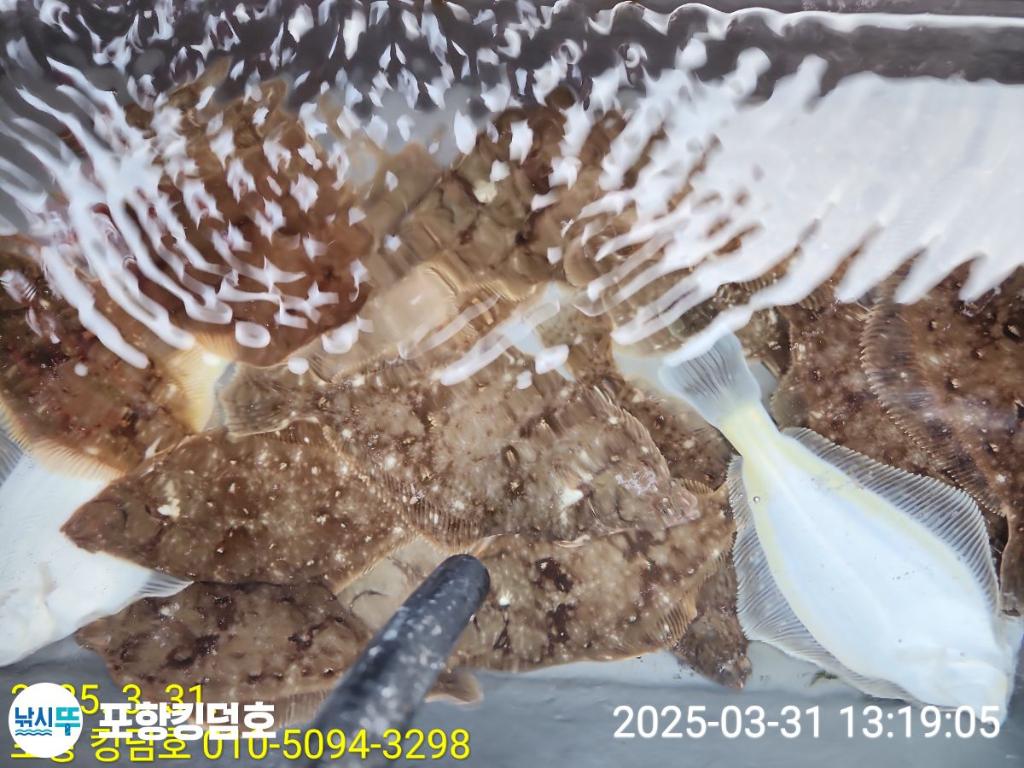 F2649718H9.jpg