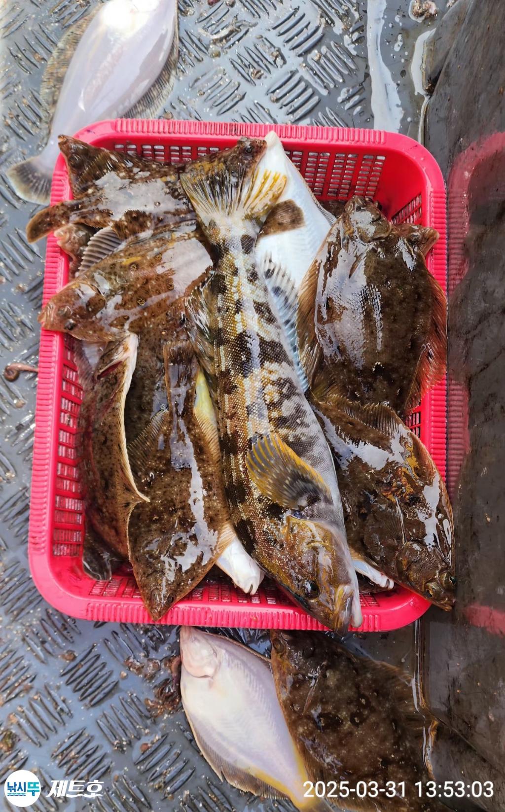 F26498395F.jpg
