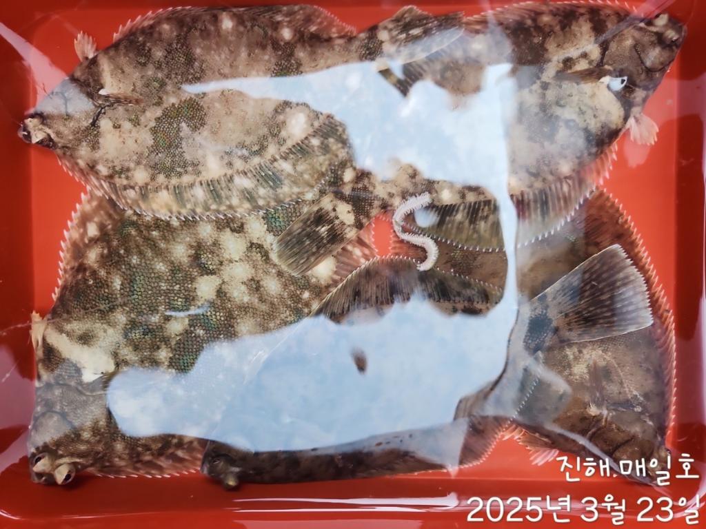 F2647601CE.jpg