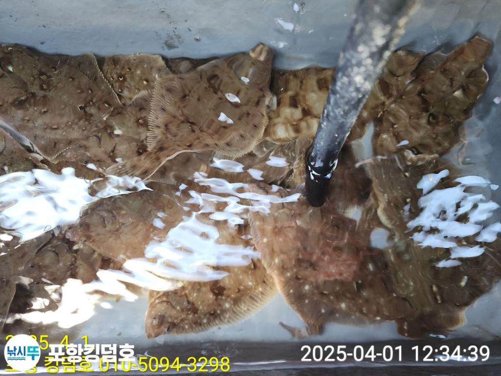 F2650396ED.jpg