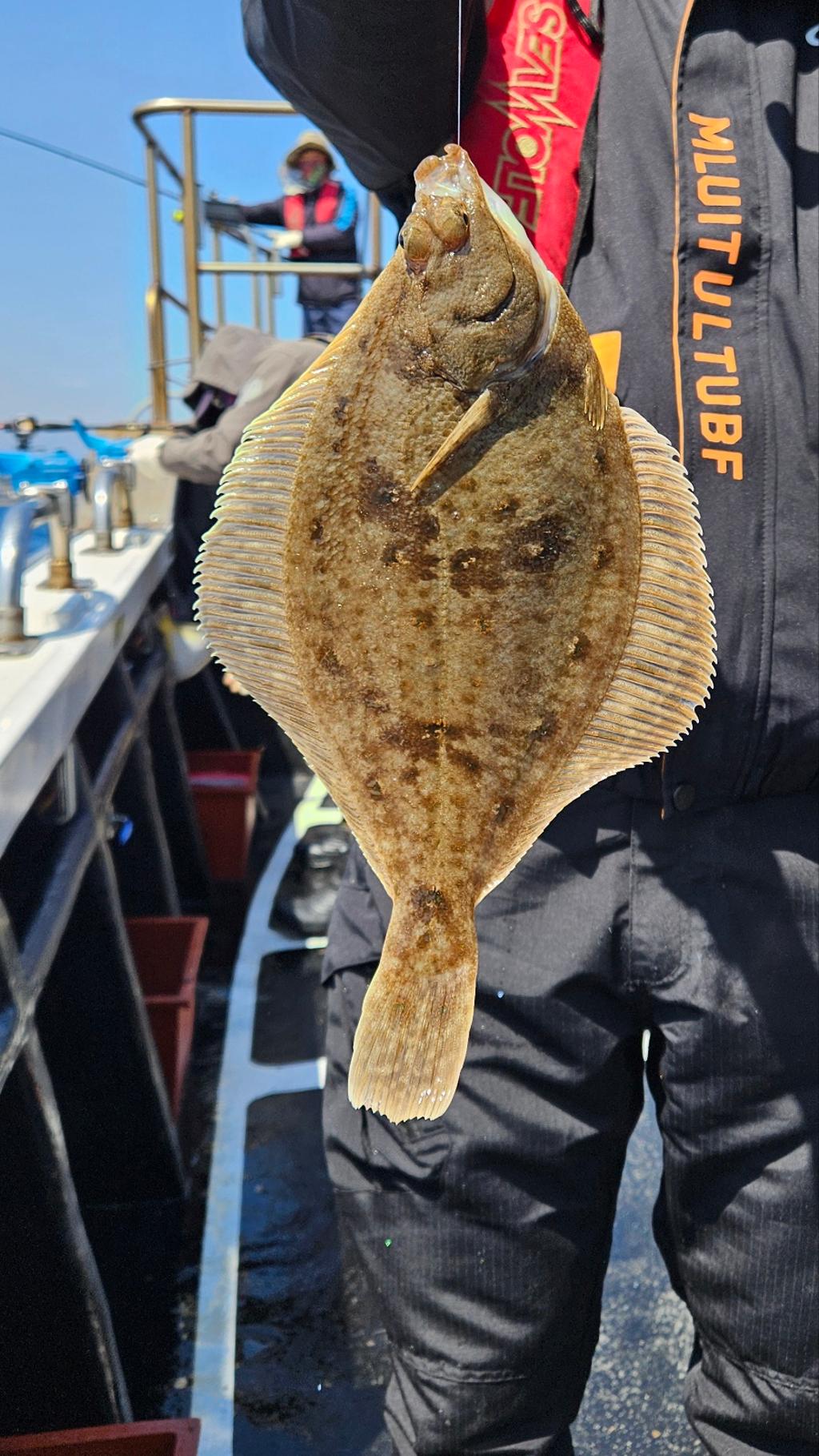 F26504958P.jpg
