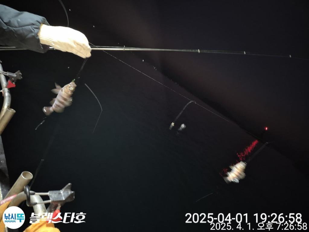 F26506178O.jpg