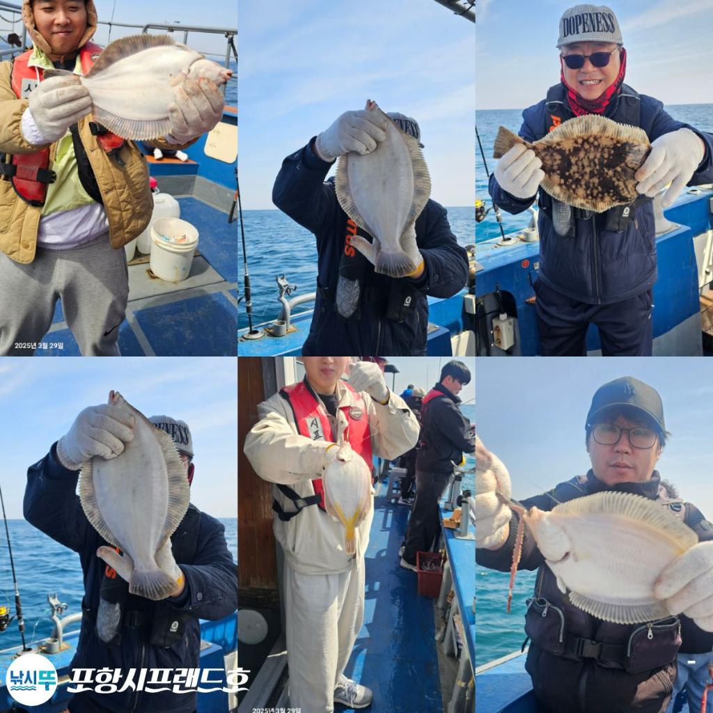F2650803PP.jpg