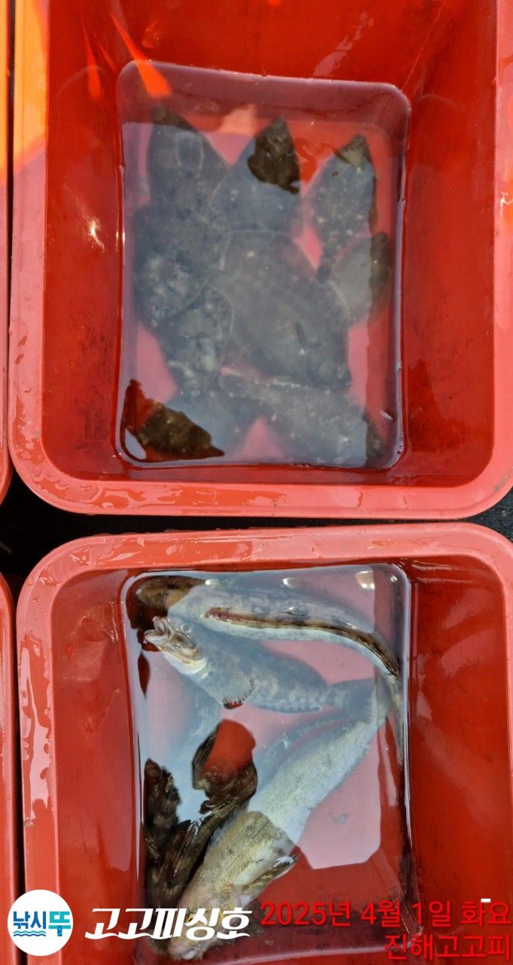 F2651025M6.jpg