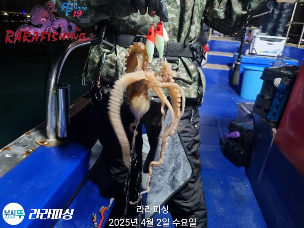 F2651116AC.jpg