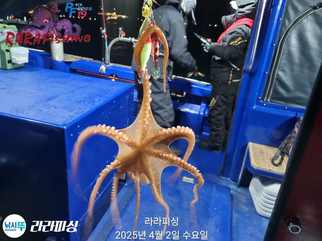 F2651119ZI.jpg
