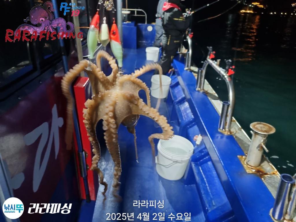 F2651121UN.jpg