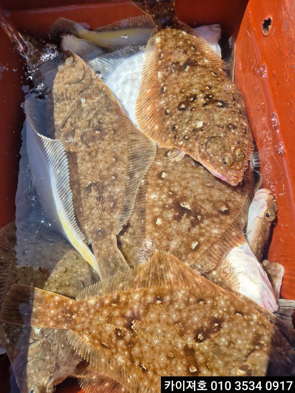 F2651277ZA.jpg