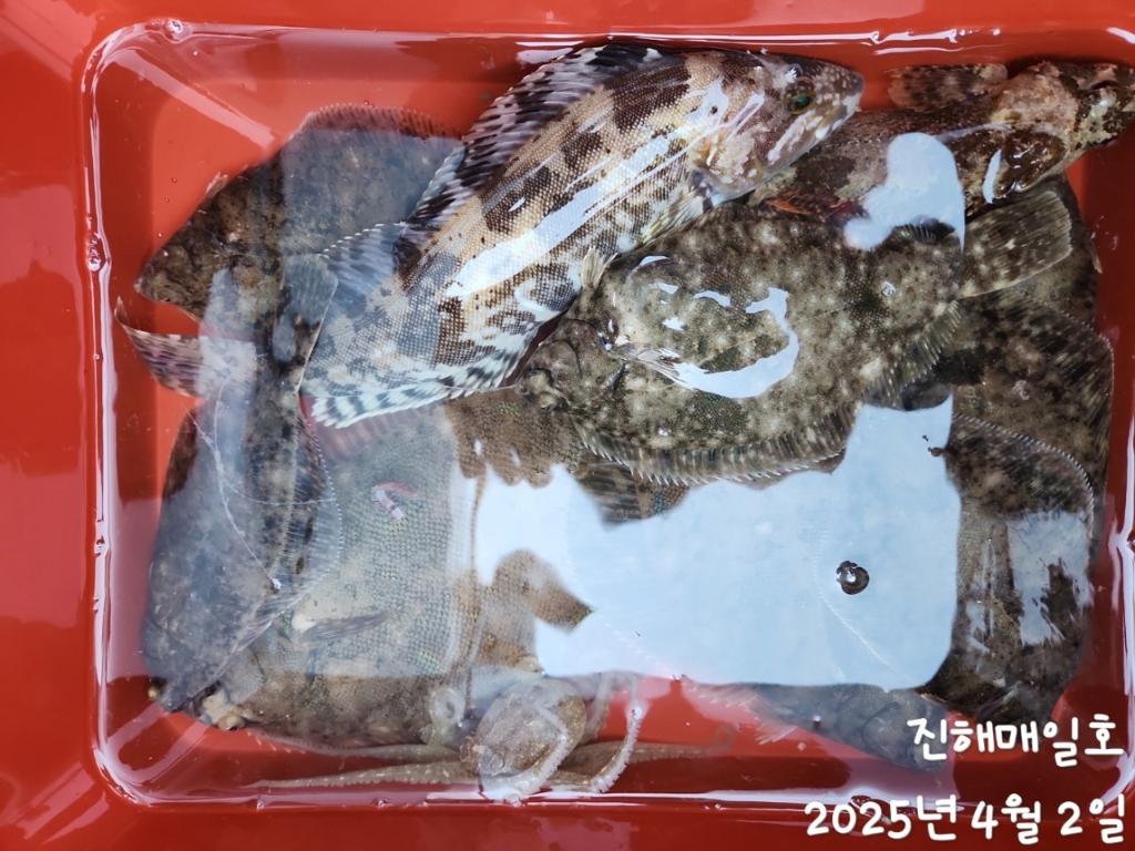 F2651392UH.jpg