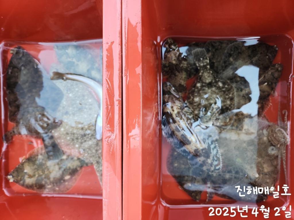 F26513944R.jpg