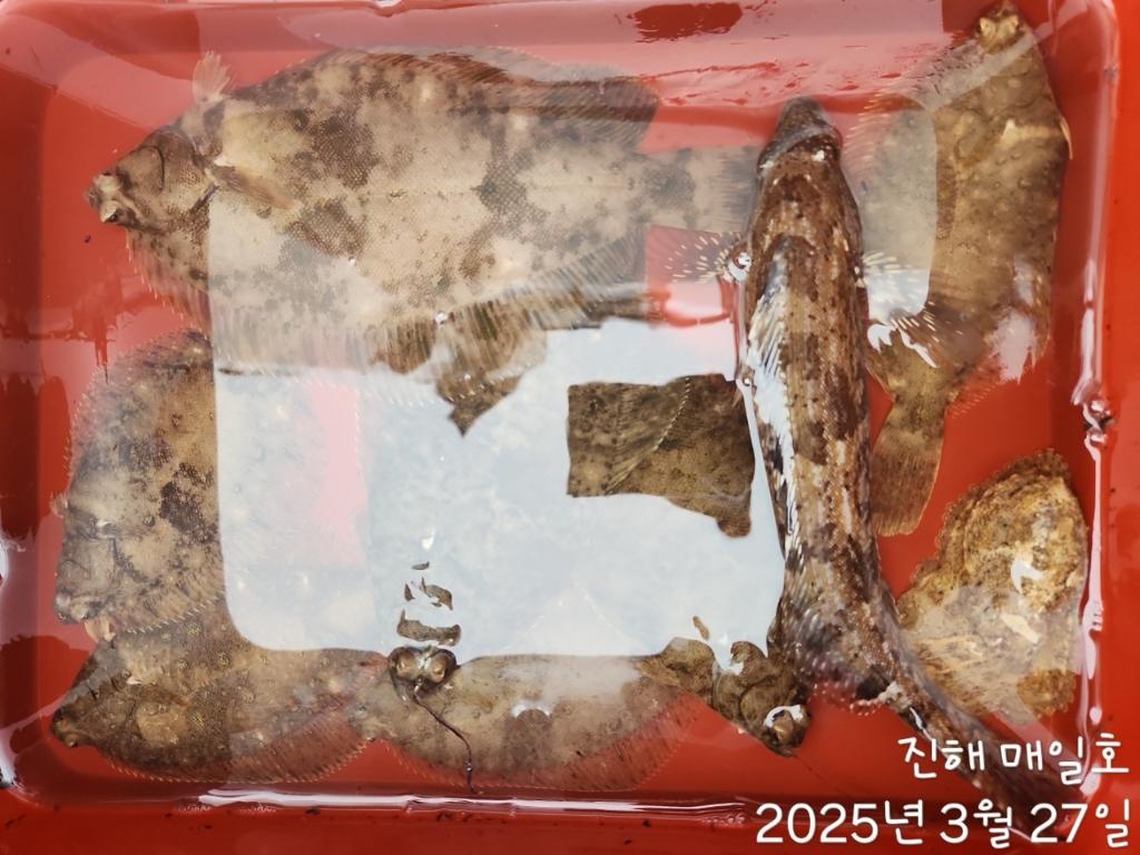 F2651403DR.jpg
