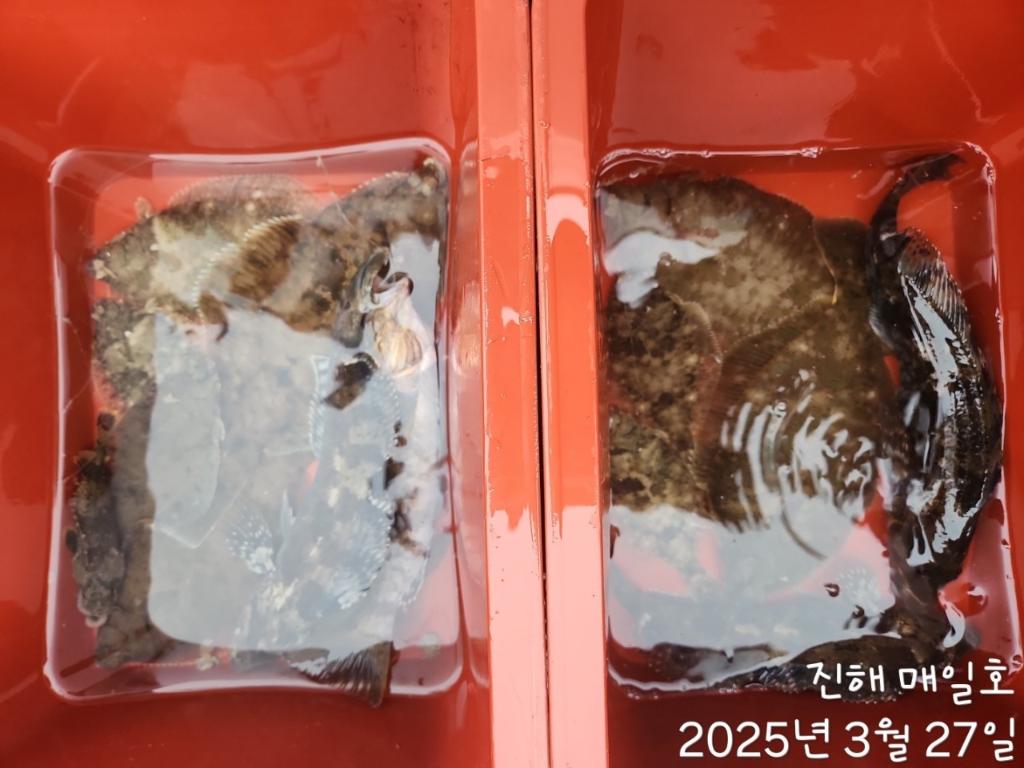 F2651407TO.jpg
