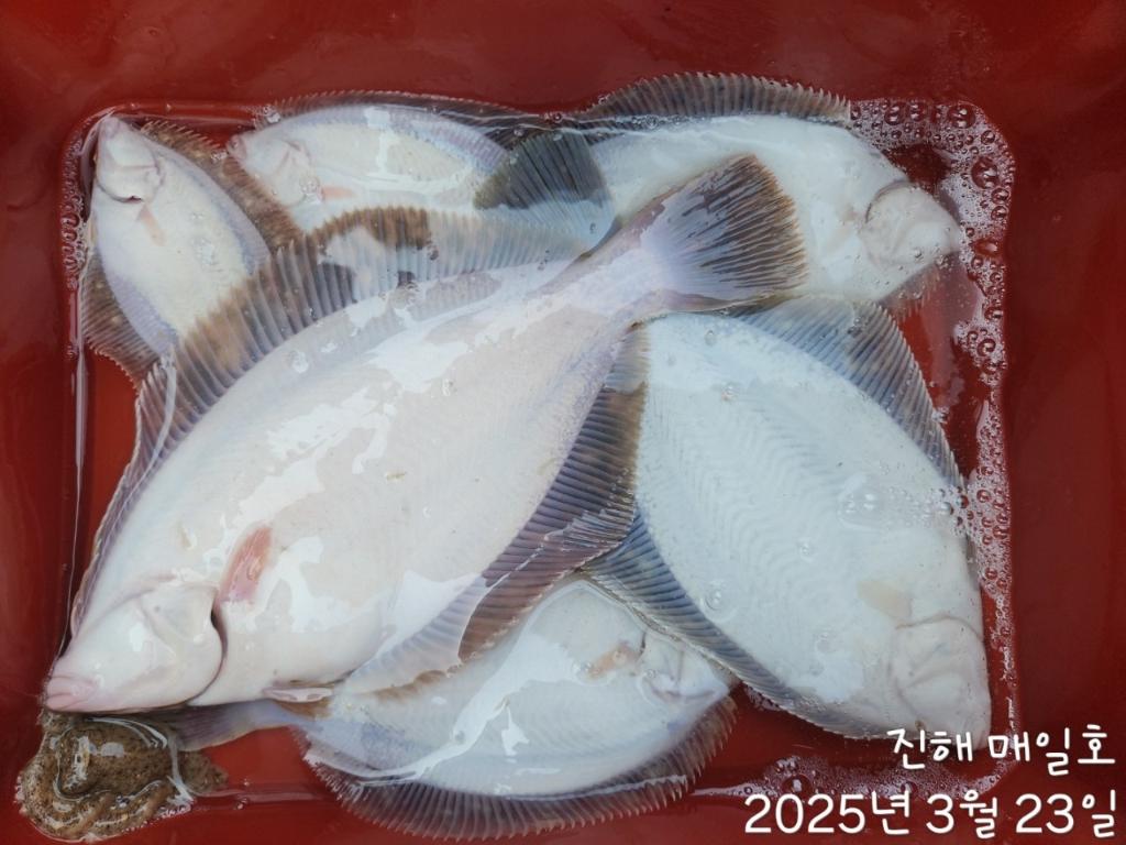 F26514714U.jpg