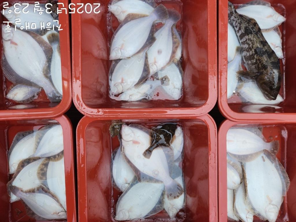 F2651475PY.jpg