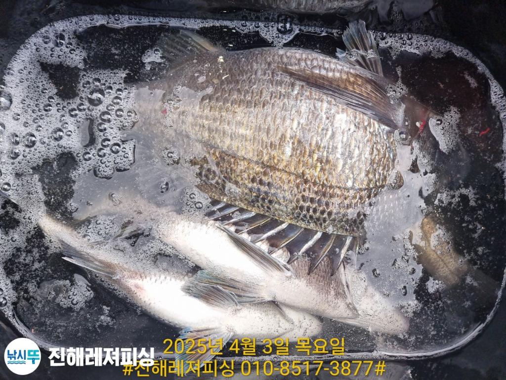 F2651609QZ.jpg