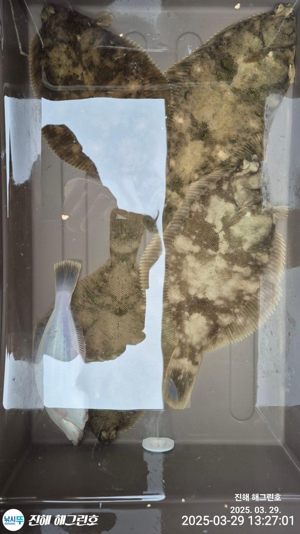 F265166390.jpg
