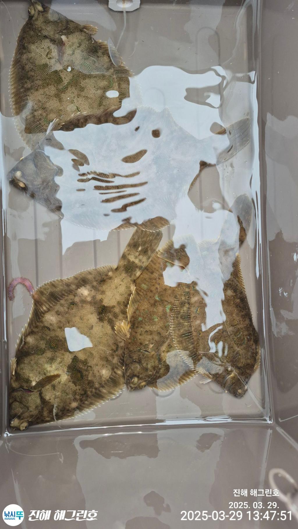 F2651666G7.jpg