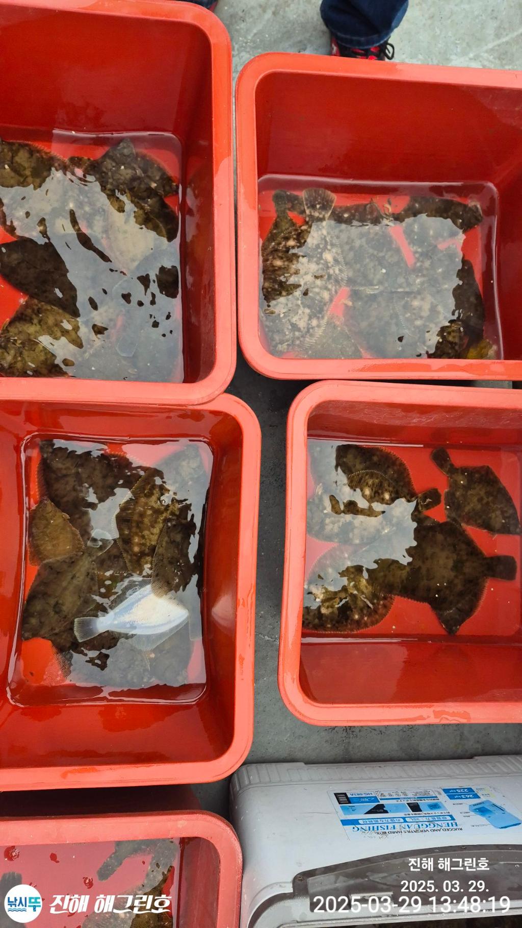 F26516685W.jpg
