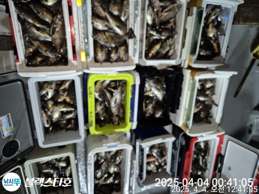 F2651843HB.jpg