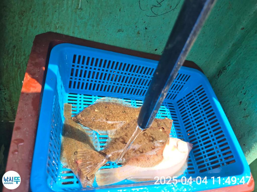 F2651868WX.jpg